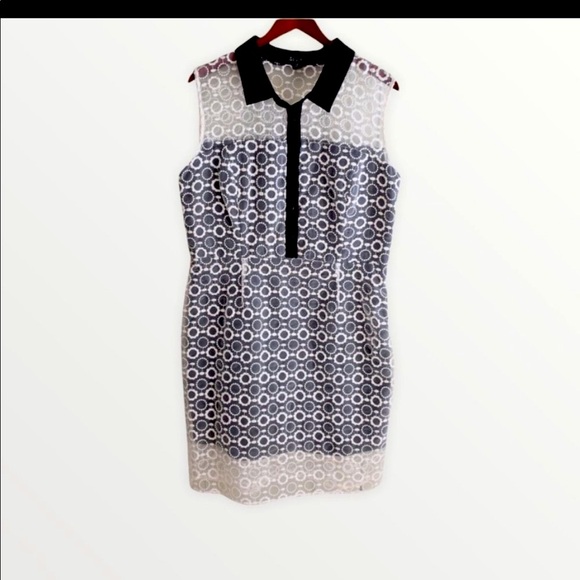 S.L. Fashions Dresses & Skirts - SL Fashions Rachel Roy Organza Eyelet Shift Dress